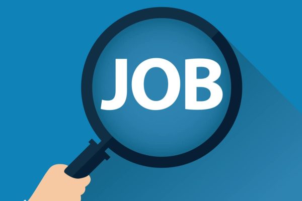 nishe job